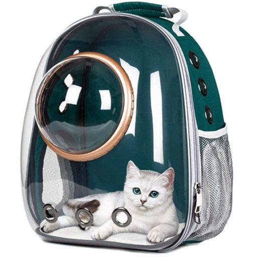 Full Transparent Backpack For Pets | SPOTYMART