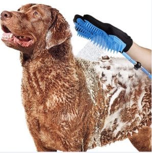Pet Handheld Bathing Shower Tool | SPOTYMART