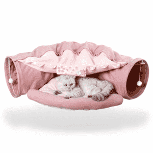 Portable Cat Tunnel Bed | SPOTYMART