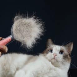 Self Cleaning Pet Hair Brush | SPOTYMART
